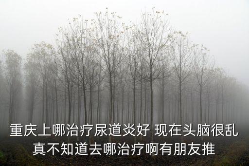 重慶上哪治療尿道炎好 現(xiàn)在頭腦很亂真不知道去哪治療啊有朋友推