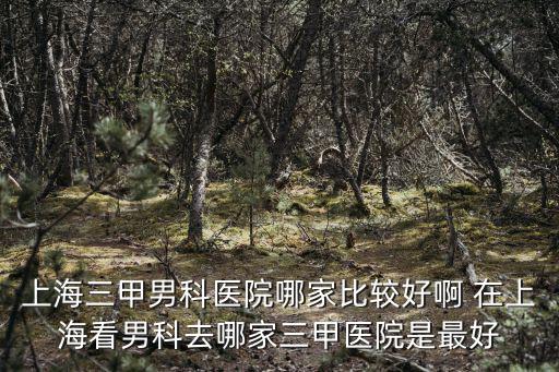 上海三甲男科醫院哪家比較好啊 在上?？茨锌迫ツ募胰揍t院是最好