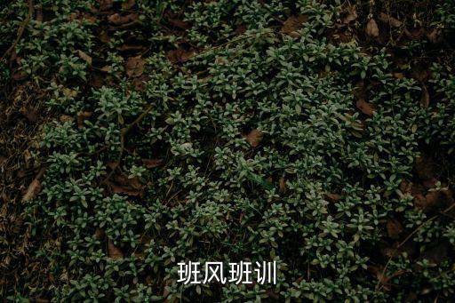 班風班訓
