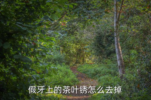 假牙上的茶葉銹怎么去掉