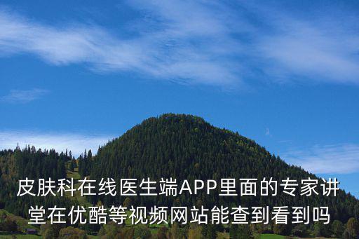 皮膚科在線醫生端APP里面的專家講堂在優酷等視頻網站能查到看到嗎
