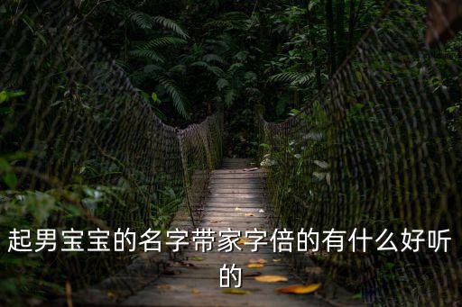 帶家字的男孩名字，起男寶寶的名字帶家字倍的有什么好聽的