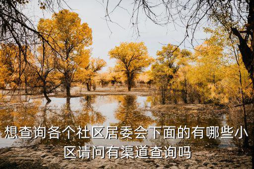 怎樣查一個地方的居委會，怎么查戶口的居委會在哪