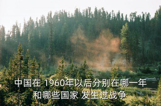 1960年中國發生了什么,回顧過去20年中國抗爭歷程
