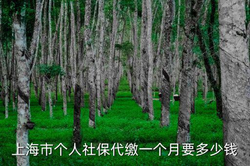 上海市個人社保代繳一個月要多少錢