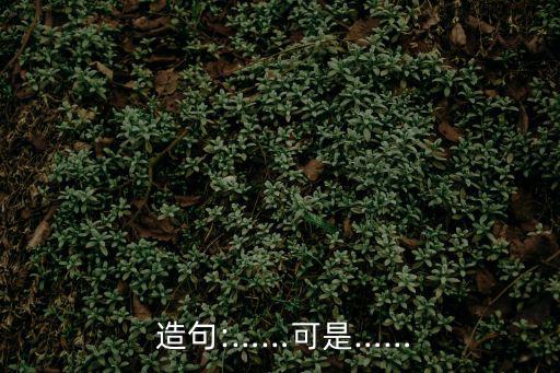 可是造句,第一集:第二集（四）選區競選廣播