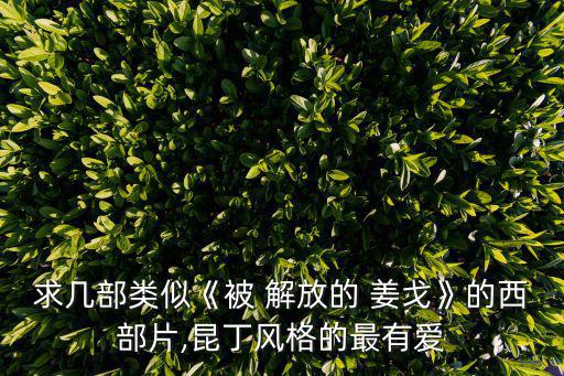 解放的姜戈,《地獄騎士》是昆汀電影《黑人居家》?