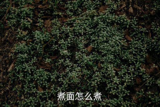 煮面怎么煮
