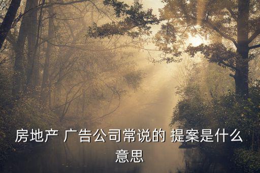 廣告提案,廣告策劃包括投資時間地點廣告與創意提案