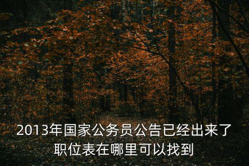2013年國家公務(wù)員公告已經(jīng)出來了職位表在哪里可以找到