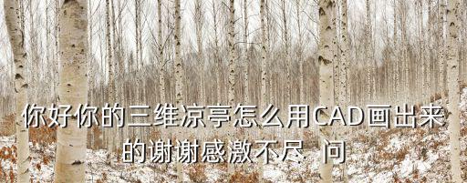 你好你的三維涼亭怎么用CAD畫出來的謝謝感激不盡  問