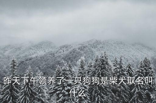 昨天下午領(lǐng)養(yǎng)了一只狗狗是柴犬取名叫什么