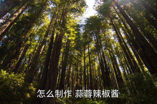 怎么制作 蒜蓉辣椒醬