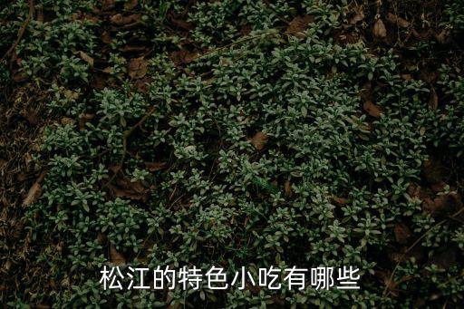 松江的特色小吃有哪些