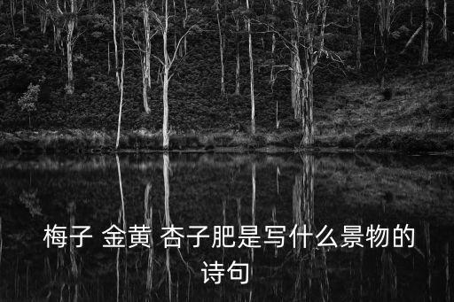  梅子 金黃 杏子肥是寫什么景物的詩句