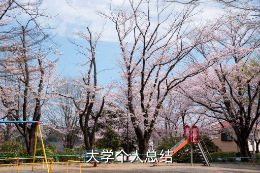 大學(xué)個(gè)人總結(jié)
