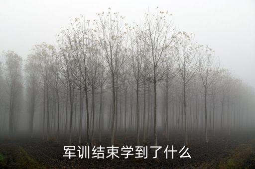 軍訓結束學到了什么