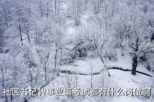 社區書記轉事業編考試都有什么崗位啊