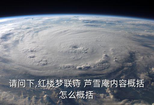 蘆雪庵,第五十回:雪花庵與紅樓夢的故事