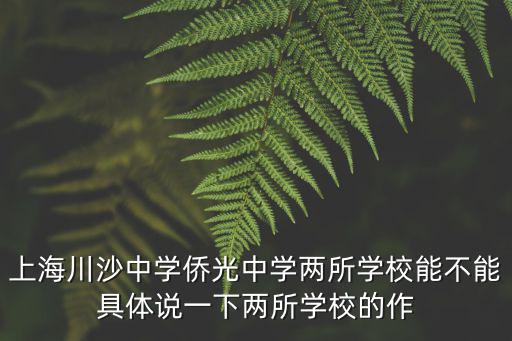上海川沙中學僑光中學兩所學校能不能具體說一下兩所學校的作