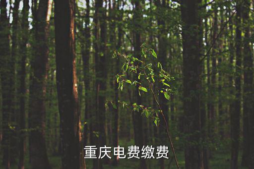 重慶市電需要交入戶費嗎，重慶合川區電表入戶應該交多少錢