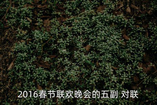 2016春節聯歡晚會的五副 對聯