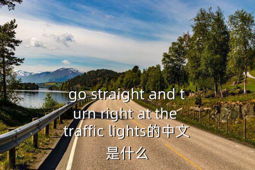 go straight and turn right at the traffic lights的中文是什么