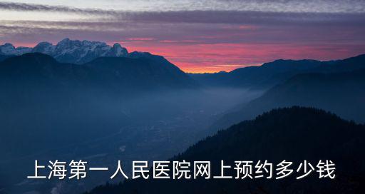 上海第一人民醫(yī)院網(wǎng)上預(yù)約多少錢