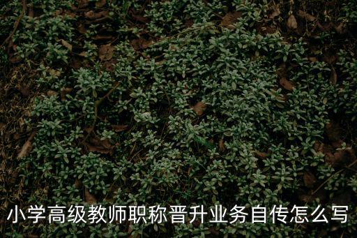 小學高級教師職稱晉升業務自傳怎么寫