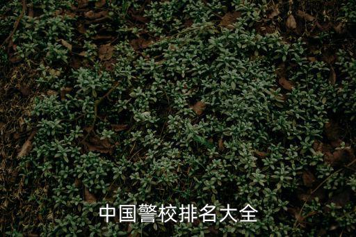 中國(guó)警校排名大全