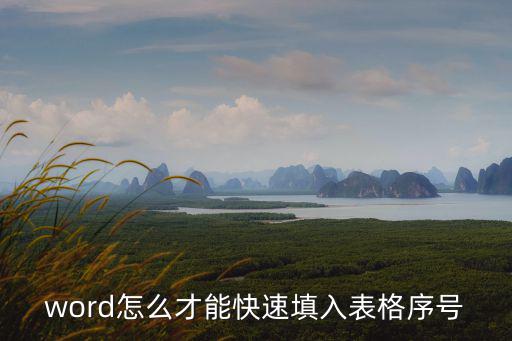 word怎么才能快速填入表格序號