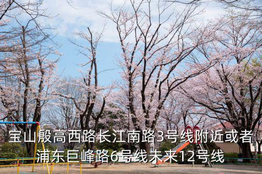寶山殷高西路長江南路3號線附近或者浦東巨峰路6號線未來12號線