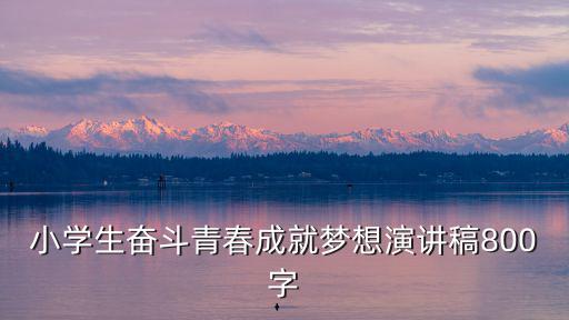 小學(xué)生奮斗青春成就夢(mèng)想演講稿800字