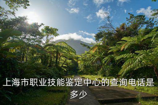 上海市職業(yè)技能鑒定中心的查詢電話是多少