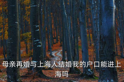 二婚嫁給上海人孩子可以入戶材料，外地戶口和上海人結婚 孩子上學要些什么材料啊