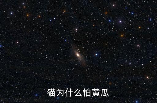 為什么貓怕黃瓜，貓怕黃瓜是什么原因