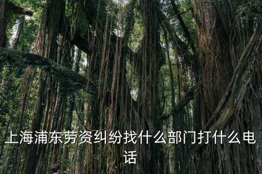 上海浦東新區(qū)勞動(dòng)仲裁電話多少，浦東新區(qū)勞動(dòng)仲裁委員會(huì)南匯庭地址和電話