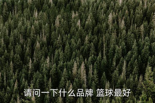 請問一下什么品牌 籃球最好