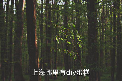 上海哪里有diy蛋糕