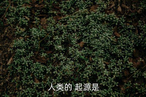 人類的起源,南方古猿和人類在進化過程中分為三個階段