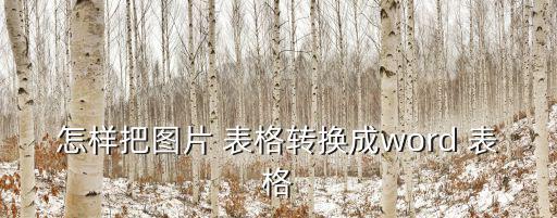 圖片轉(zhuǎn)表格,電腦怎么用excel轉(zhuǎn)文字和圖片?