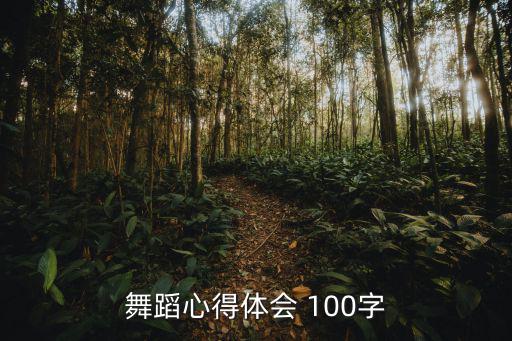 舞蹈心得體會 100字