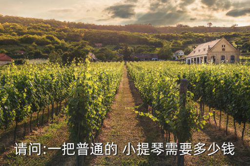 小提琴多少錢(qián),專(zhuān)業(yè)組選手用的是幾十萬(wàn)甚至更貴的音樂(lè)器