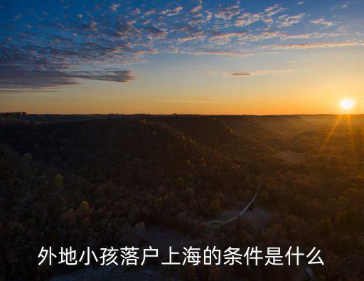 外地小孩落戶上海的條件是什么