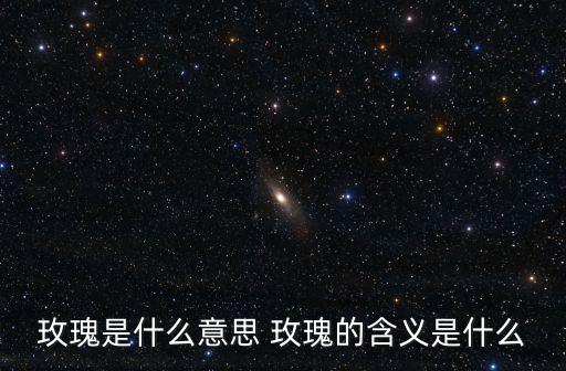 玫瑰是什么意思 玫瑰的含義是什么