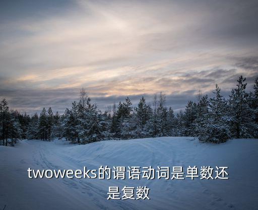 twoweeks的謂語動(dòng)詞是單數(shù)還是復(fù)數(shù)