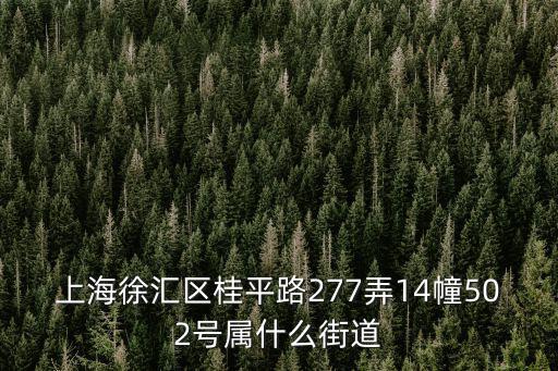 上海徐匯區桂平路277弄14幢502號屬什么街道