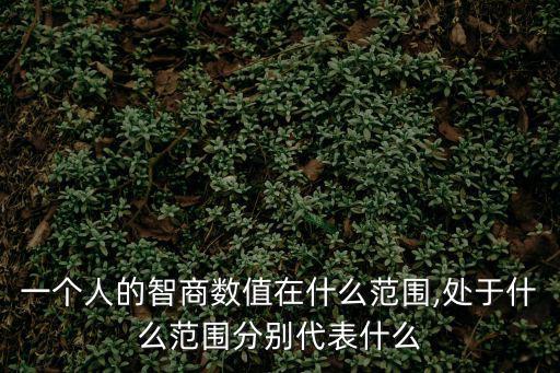 一個人的智商數值在什么范圍,處于什么范圍分別代表什么