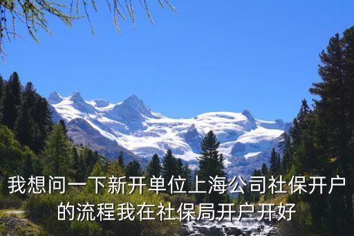 我想問一下新開單位上海公司社保開戶的流程我在社保局開戶開好