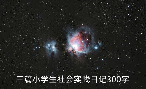 三篇小學生社會實踐日記300字